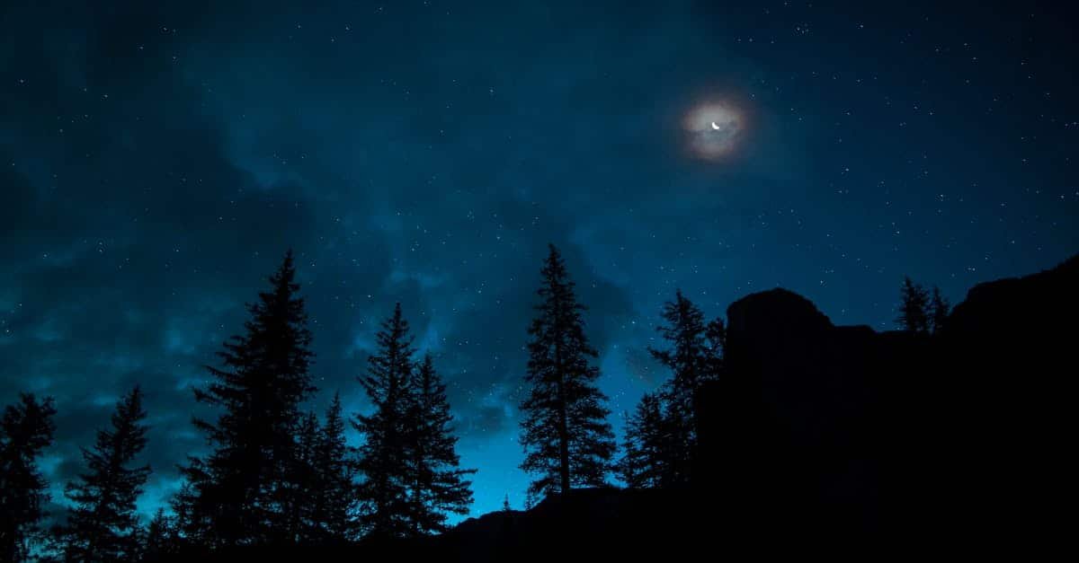À partir du 13 août, ce signe astrologique plongera dans une mer de bonheur