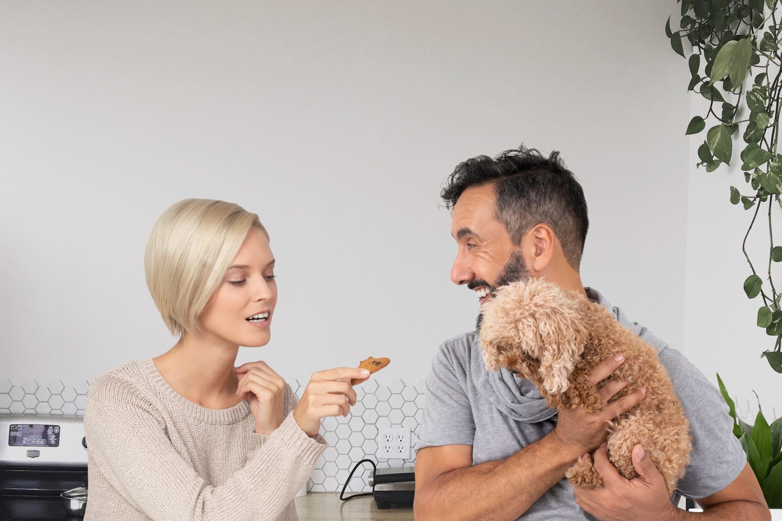 Nous avons testé pour vous les assurances pour animaux