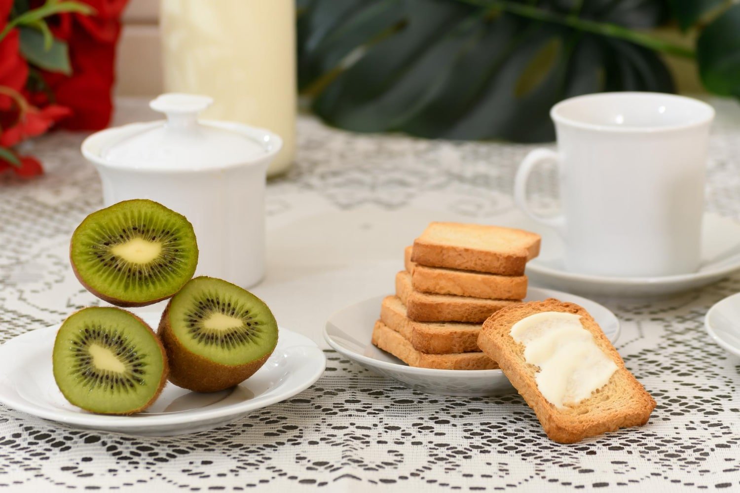 Biscotte : Les critères pour choisir une biscotte nutritive et savoureuse