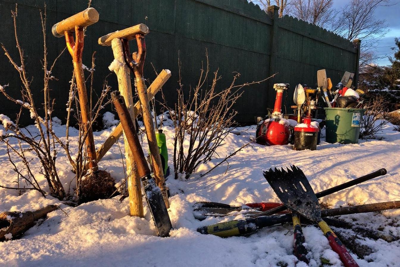 cinq astuces pour maintenir votre jardin en bonne santé durant l’hiver