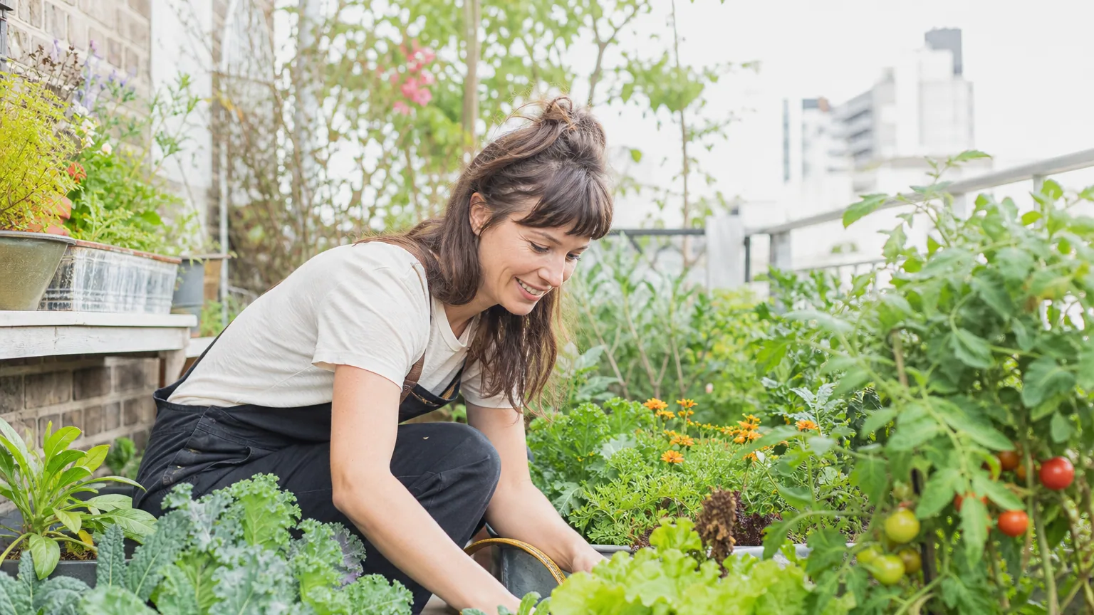 Le jardin continue, de mon jardin au vôtre : cultiver des plantes comestibles en milieu urbain et dans les petits jardins – Le blog B-Town (Burien