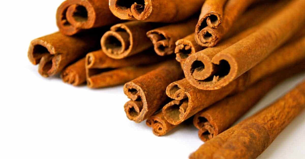 découvrez notre sélection de fragrances envoûtantes qui éveillent vos sens et subliment votre quotidien. des parfums raffinés pour chaque occasion, alliant élégance et originalité.