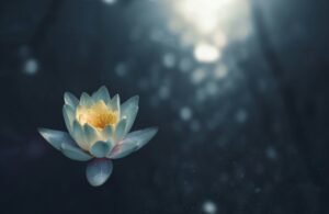découvrez la pleine conscience avec notre guide sur la mindfulness, une pratique de méditation pour réduire le stress et cultiver le bien-être mental.
