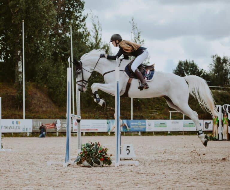 découvrez le plaisir de l'équitation avec nos cours et balades à cheval. profitez d'une expérience unique à cheval, que ce soit en plein air ou en manège.