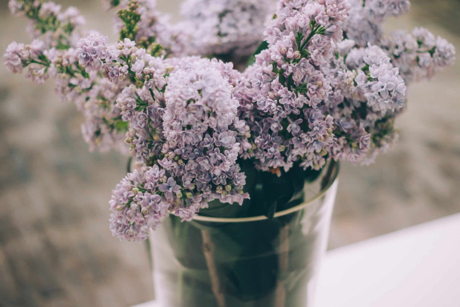 découvrez notre sélection de vases élégants et contemporains pour sublimer votre décoration intérieure.