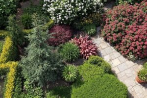 associations de plantes compagnes pour faire prospérer votre jardin