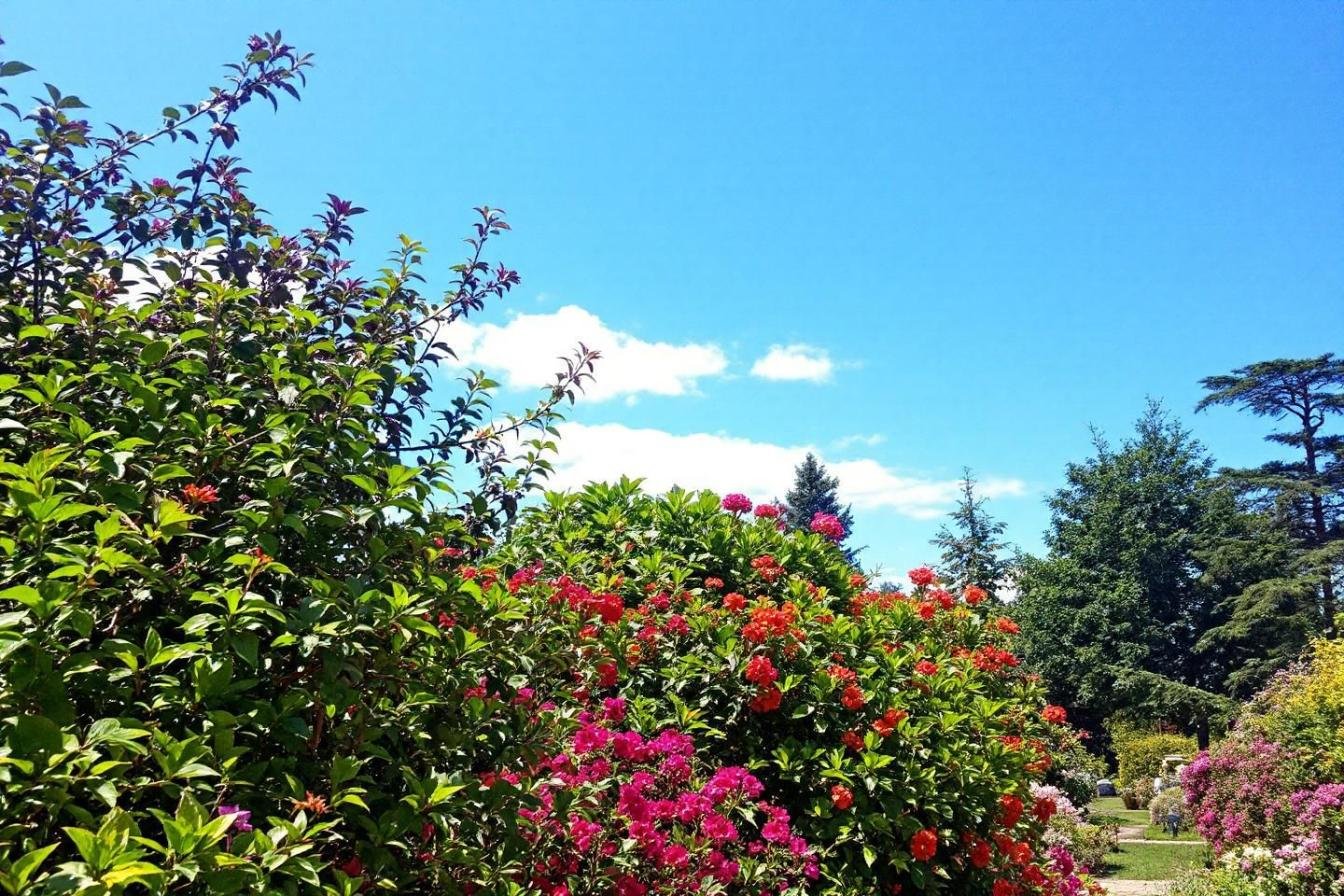 astuces pour métamorphoser votre petit jardin en un havre de verdure