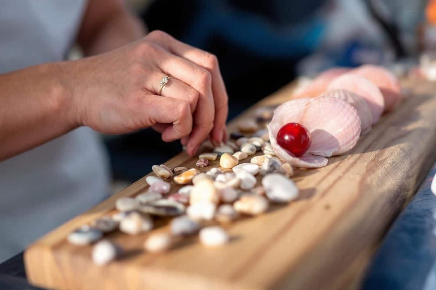 Atelier Plage : une très belle collection de bijoux à base de coquillages