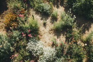 cinq erreurs de conception de votre jardin à repérer seulement lorsque les températures grimpent en été