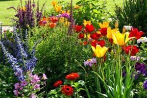 Comment transformer votre jardin en une palette colorée et parfumée