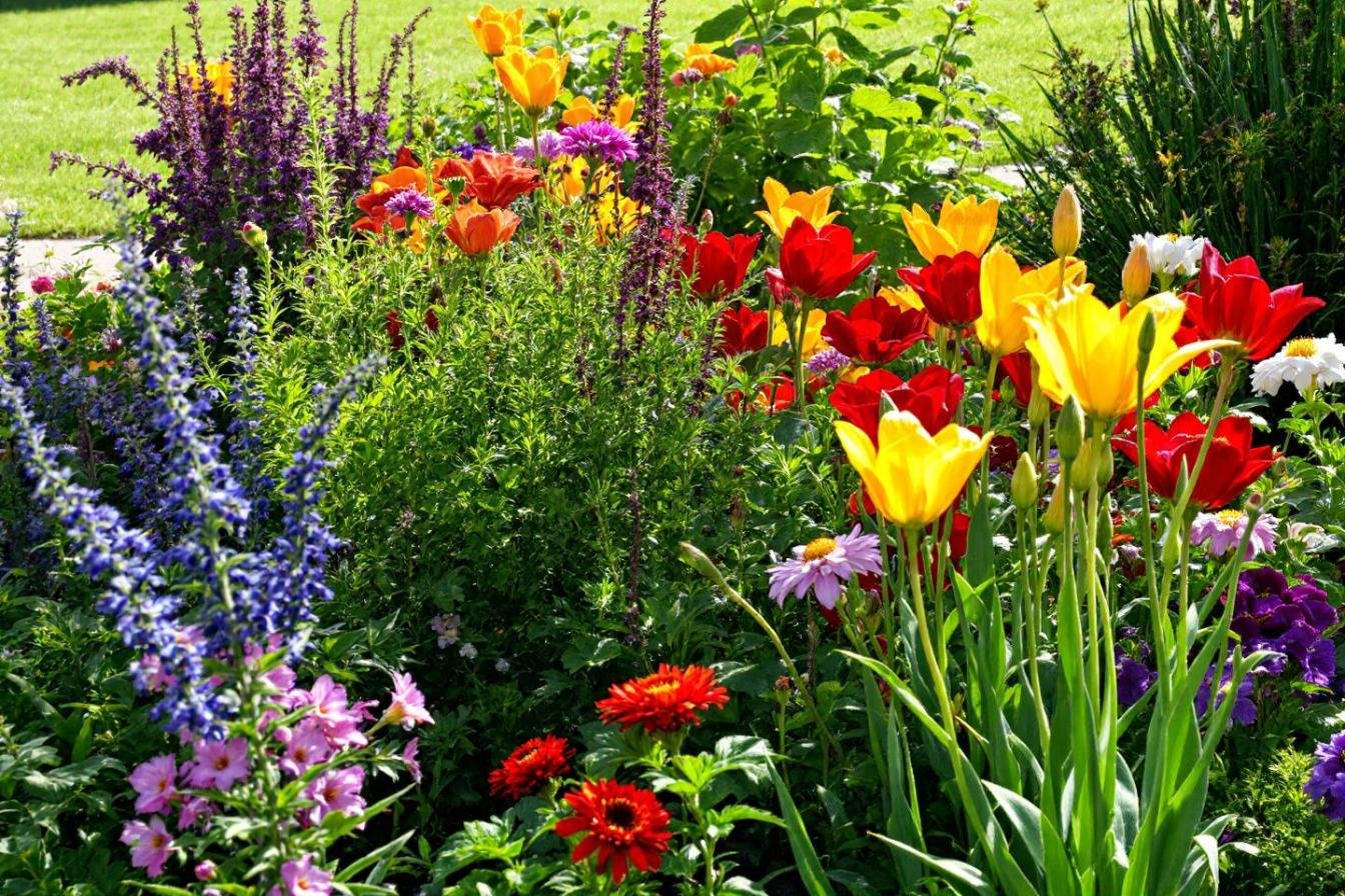 Comment transformer votre jardin en une palette colorée et parfumée