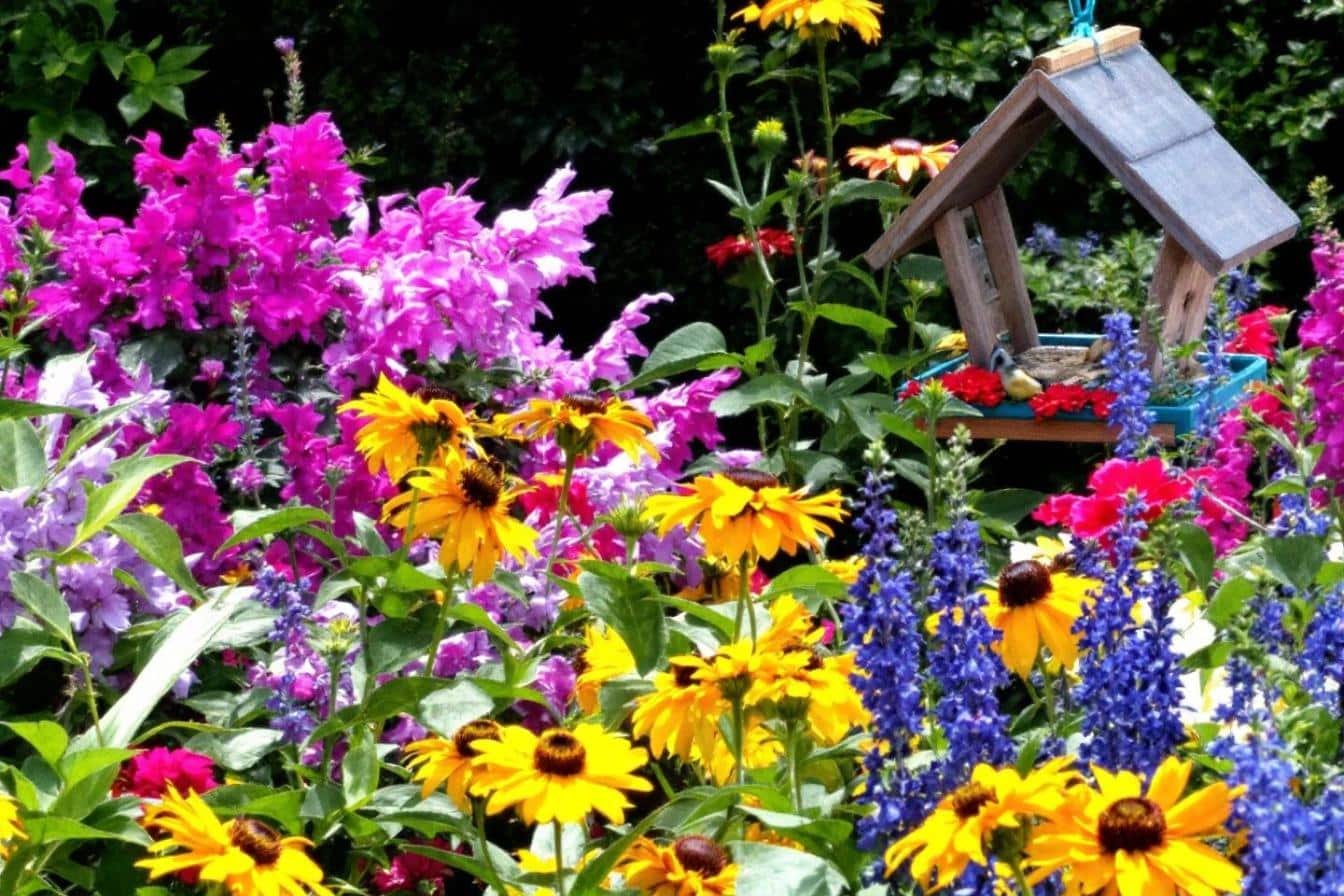 créer un havre de paix : astuces pour entretenir un jardin accueillant pour les animaux