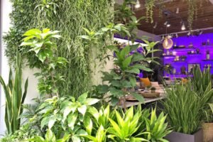découvertes pour la maison et le jardin