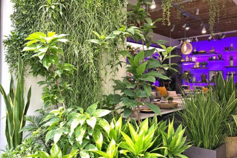découvertes pour la maison et le jardin