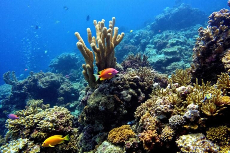 découvrez un jardin océanique immersif aux abords de Rio de Janeiro, où l’ambiance évoque un véritable paradis