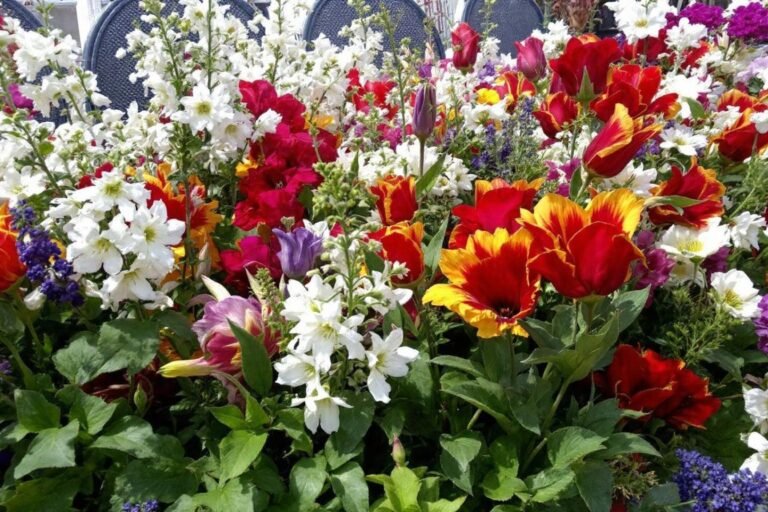 Le projet de jardin potager du quartier des jardins de roses favorise l’unité à travers la fête du Travail