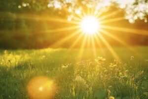 L’Éclat du Soleil : La Source de Vie et de Lumière
