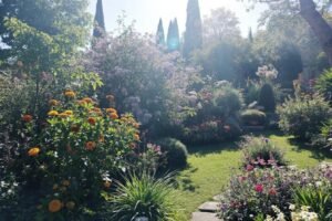 Les 20 Meilleures Plantes de Bordure pour Sublimer Votre Jardin