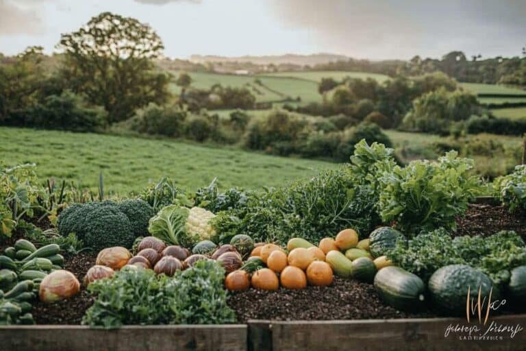les meilleurs potagers du Royaume-Uni à découvrir lors d’un voyage gastronomique
