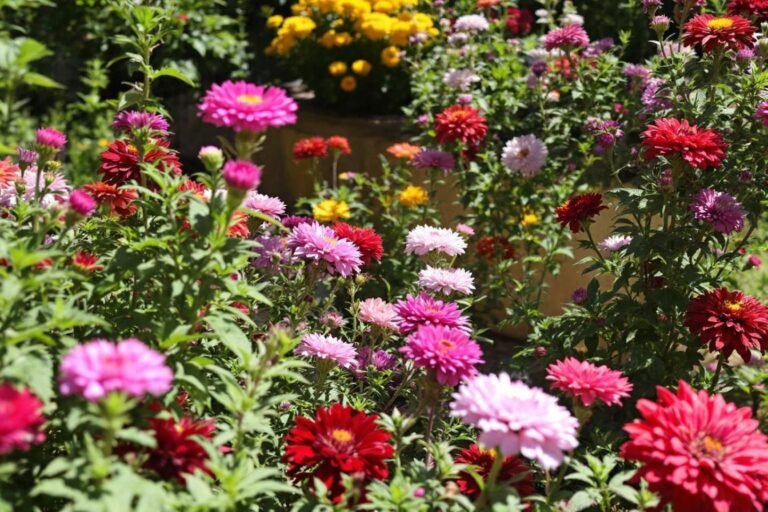 préparez votre jardin pour le printemps en un seul week-end