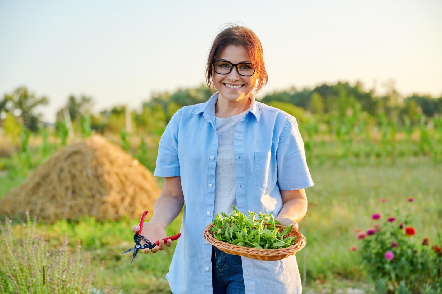 Comment créer un jardin aromatique ? - Jeune Jolie