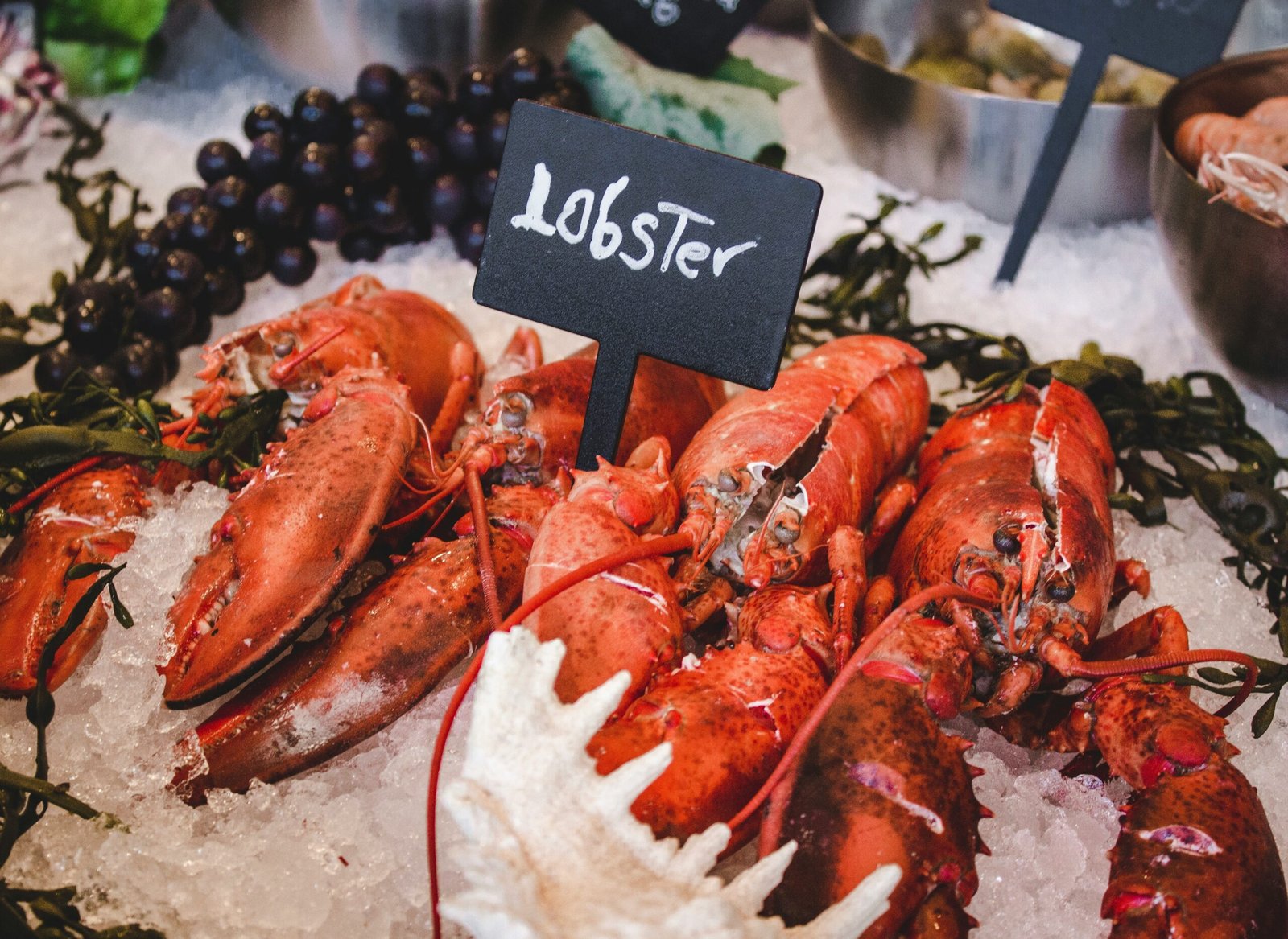 découvrez notre délicieux risotto aux fruits de mer, un mélange parfait de riz crémeux et de fruits de mer frais, un vrai régal pour les amateurs de fruits de mer!