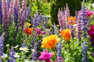 un jardin intemporel : des conseils de design qui traversent les époques (lecture de 5 minutes